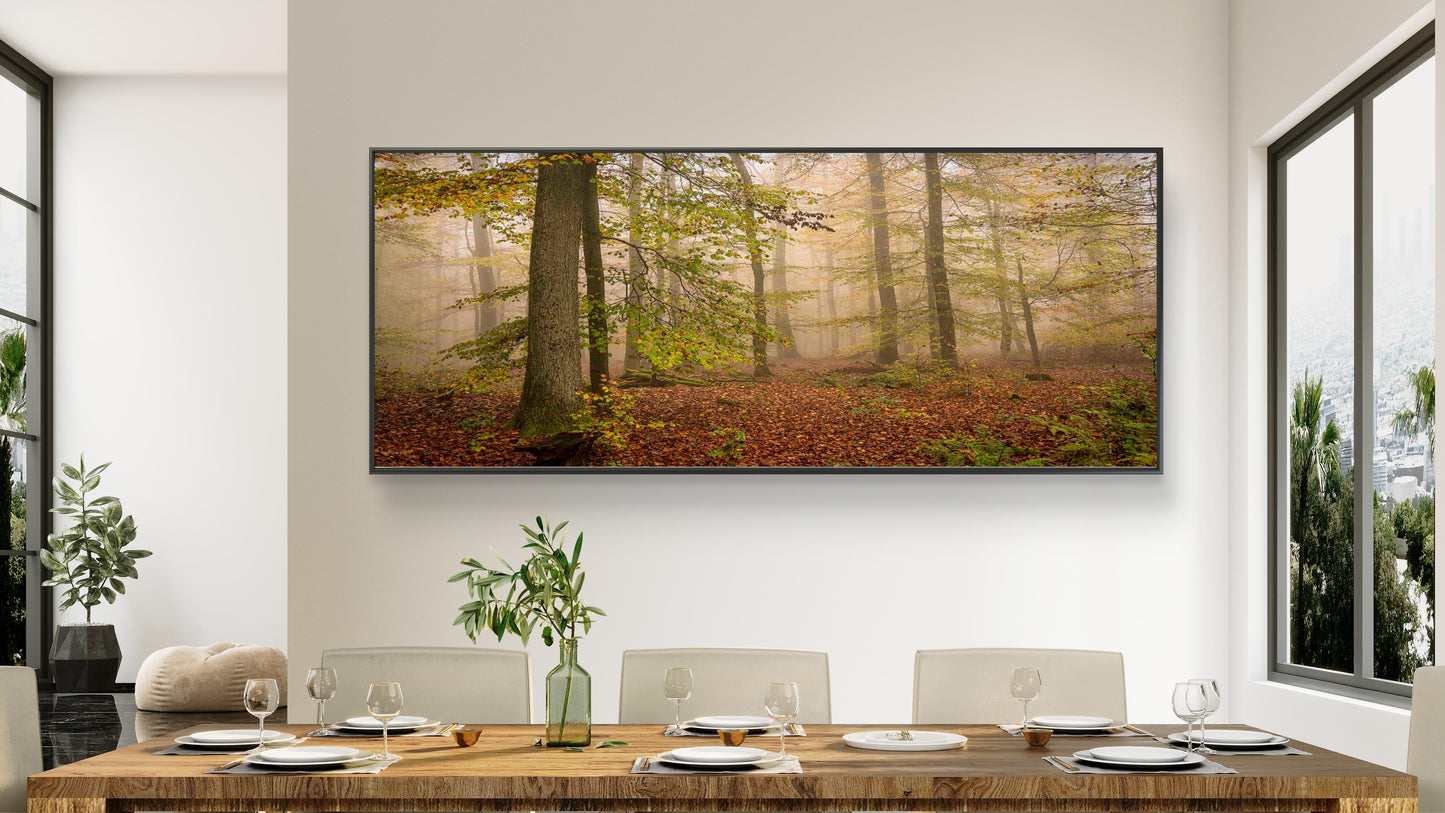 Stennweiler Forest Panorama