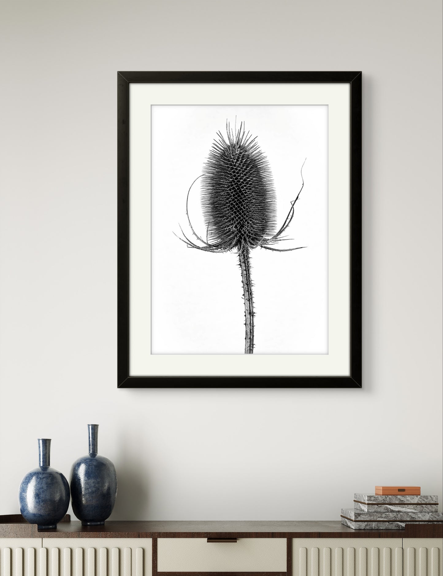Wild Teasel