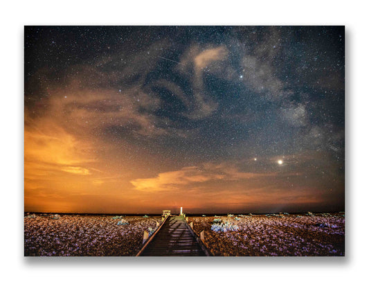 Dungeness Starry Walkway