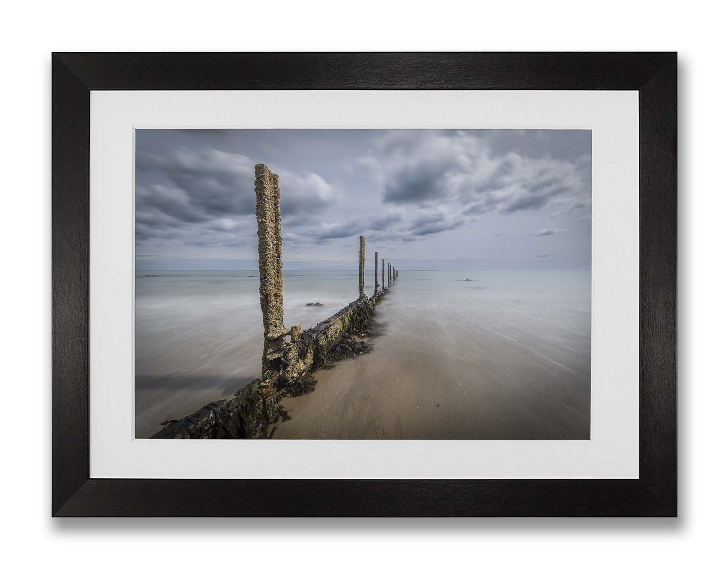 Sea Groynes on The Warren Mk.4