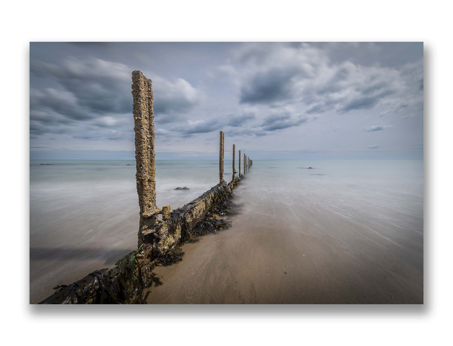 Sea Groynes on The Warren Mk.4