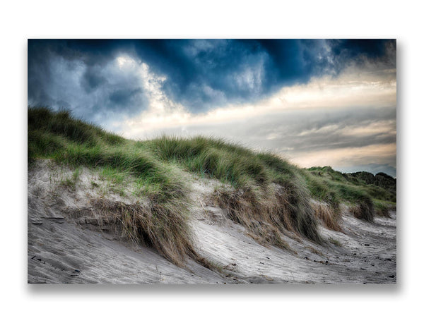 Marram Grass, Warkworth Beach