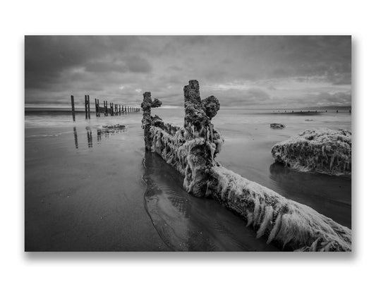 Sea Groyne on the Warren, Mk.6