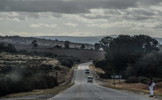 South Africa Gallery 6