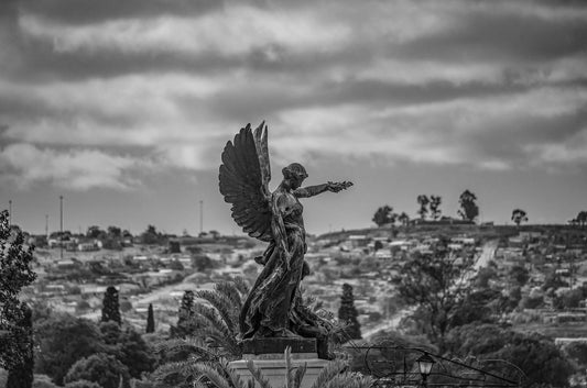 South Africa Gallery 4