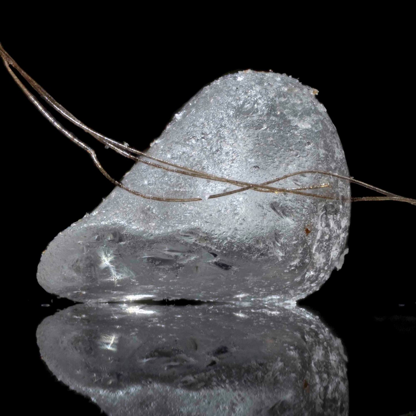 Pet Hair with Grain of Sand Prints