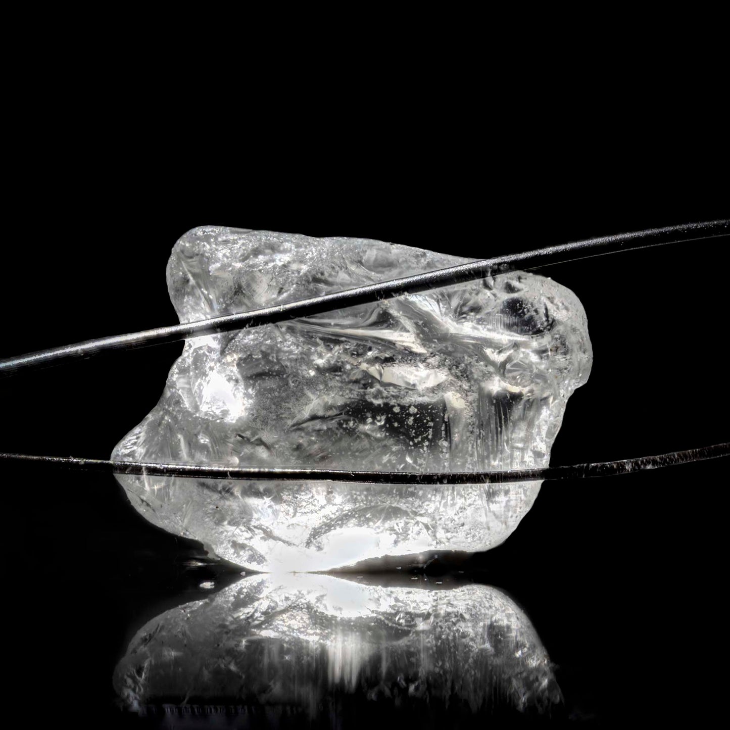 Pet Hair with Grain of Sand Prints