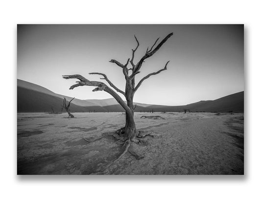 Deadvlei, Namibia