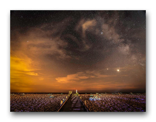 Dungeness Starry Walkway